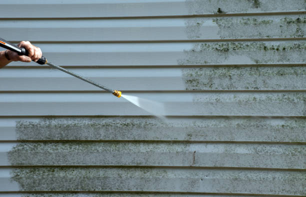 Best Concrete Pressure Washing  in The Galena Territory, IL