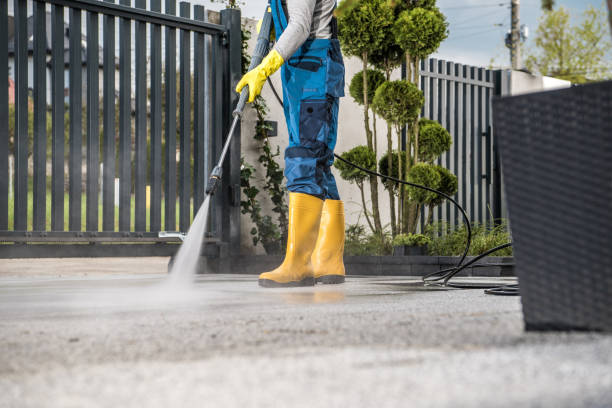Deck Cleaning Services in The Galena Territory, IL