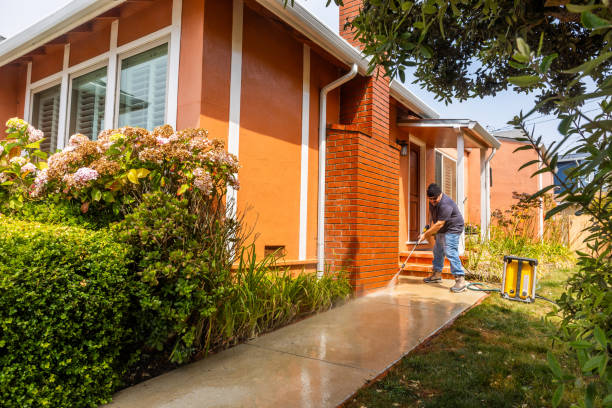 Best House Pressure Washing  in The Galena Territory, IL